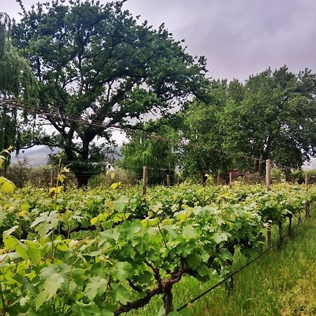 Cabernet Cottage Be Still And Know Franschhoek Eksteriør bilde