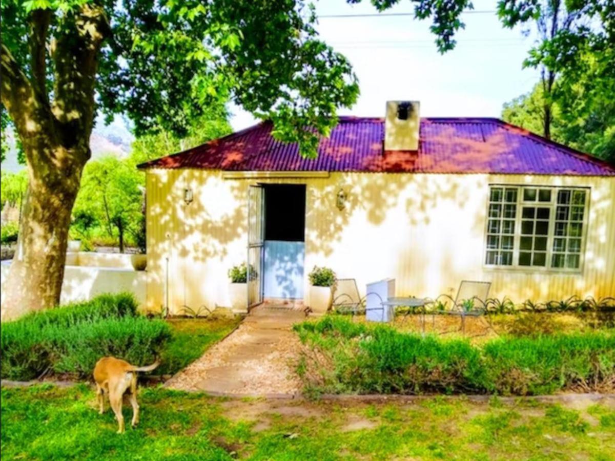 Cabernet Cottage Be Still And Know Franschhoek Eksteriør bilde
