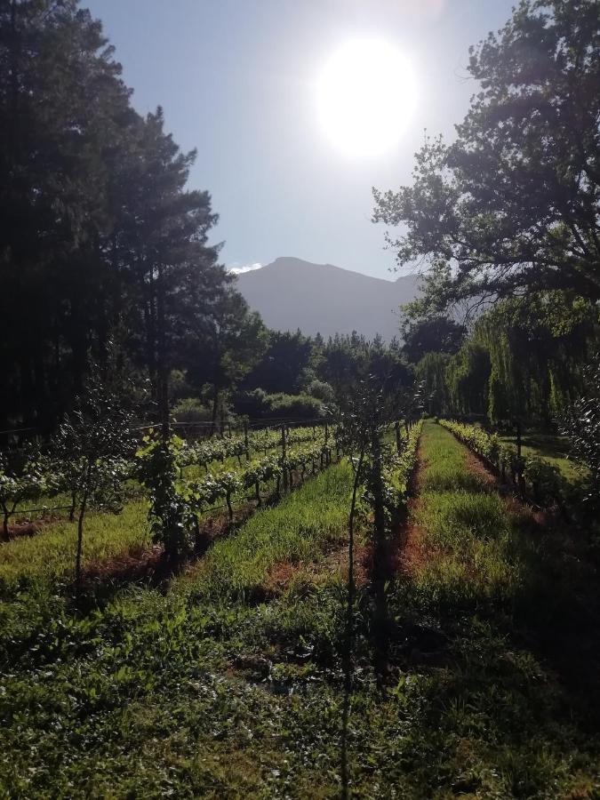 Cabernet Cottage Be Still And Know Franschhoek Eksteriør bilde