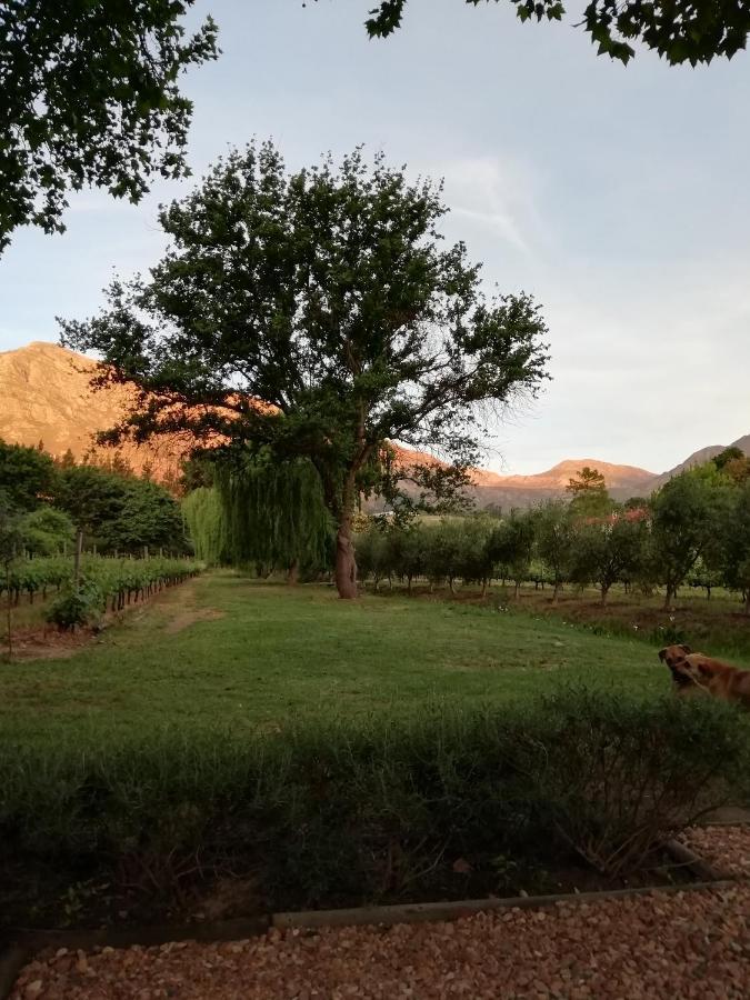Cabernet Cottage Be Still And Know Franschhoek Eksteriør bilde
