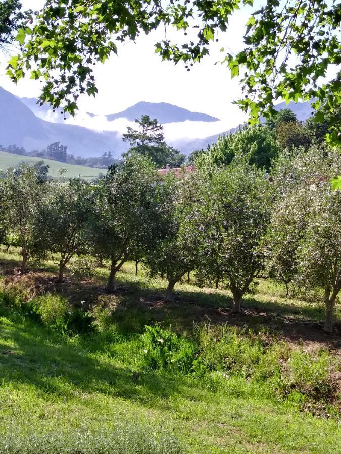 Cabernet Cottage Be Still And Know Franschhoek Eksteriør bilde